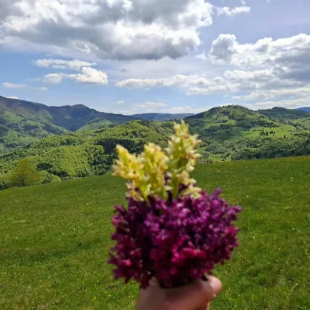 Legat Tri Brata Hébergement de vacances