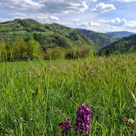 Tatil Evi Legat Tri Brata