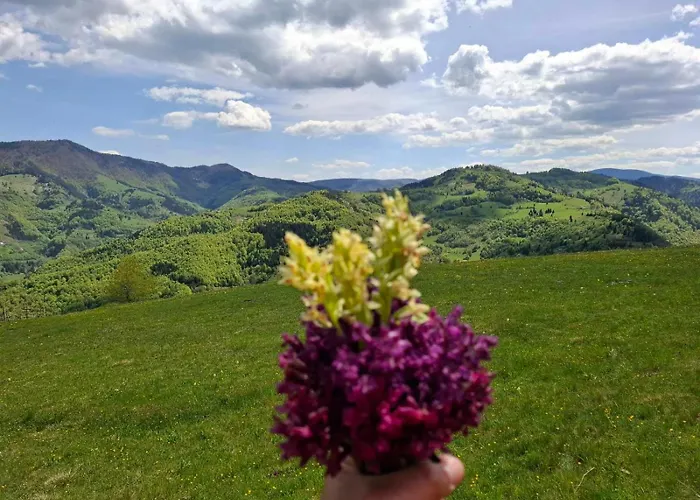 Legat Tri Brata Tatil Evi